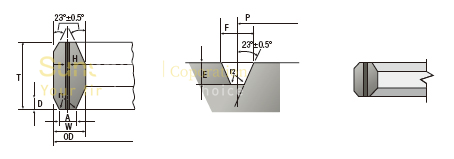 RX RTJ Gaskets CHINA